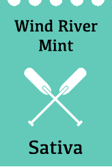Wind River Mint - Sativa